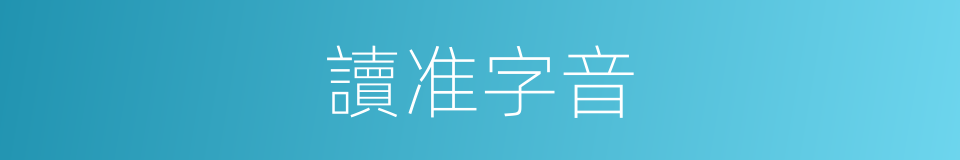 讀准字音的同義詞