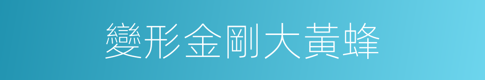 變形金剛大黃蜂的同義詞