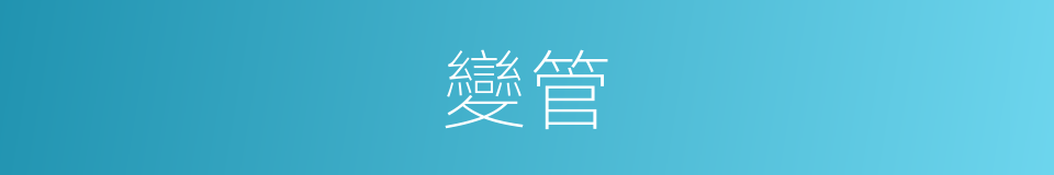 變管的同義詞