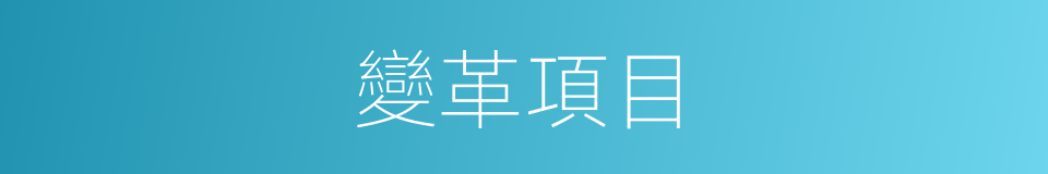 變革項目的同義詞