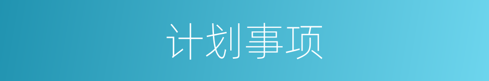 计划事项的同义词