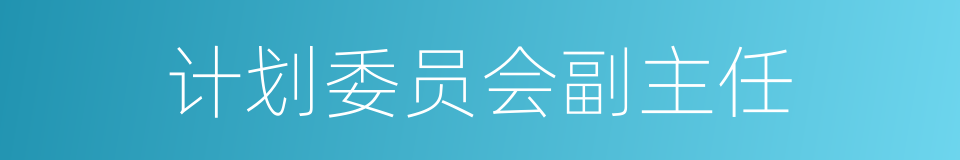 计划委员会副主任的同义词