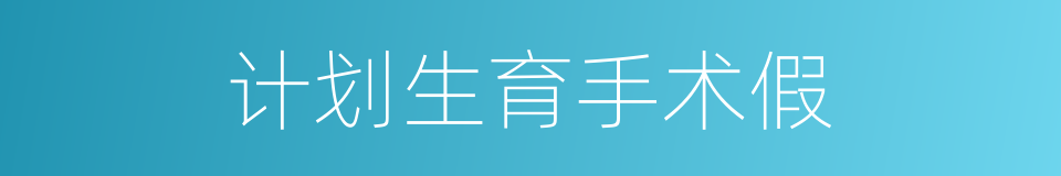 计划生育手术假的同义词