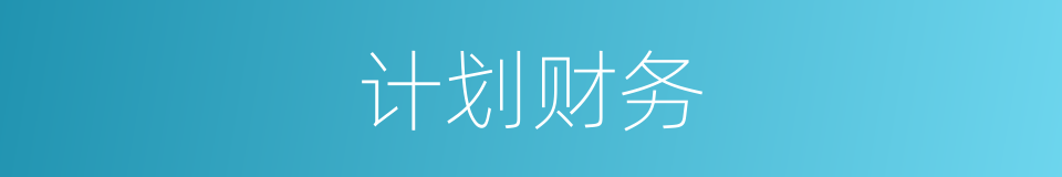 计划财务的同义词