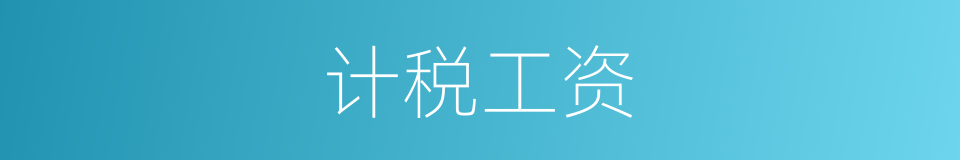 计税工资的同义词