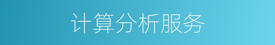 计算分析服务的同义词