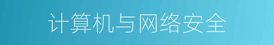 计算机与网络安全的同义词
