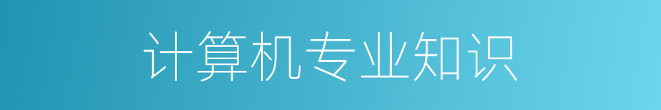 计算机专业知识的同义词