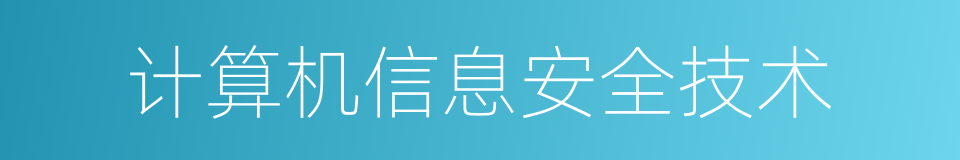 计算机信息安全技术的同义词