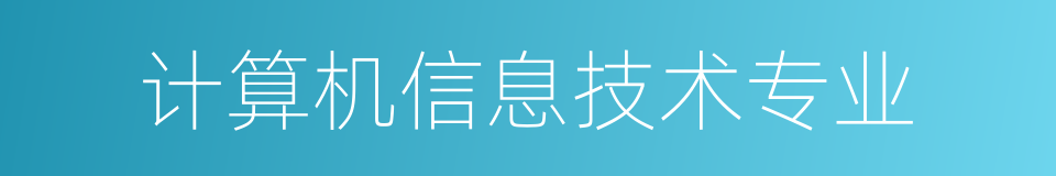 计算机信息技术专业的同义词