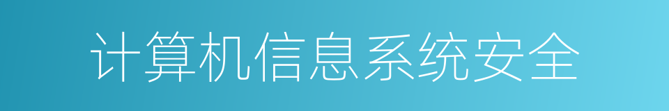 计算机信息系统安全的同义词