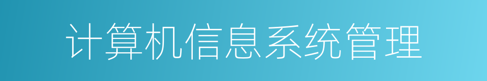 计算机信息系统管理的同义词