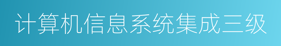 计算机信息系统集成三级的同义词