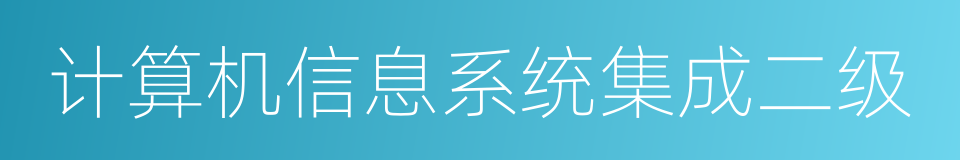 计算机信息系统集成二级的同义词