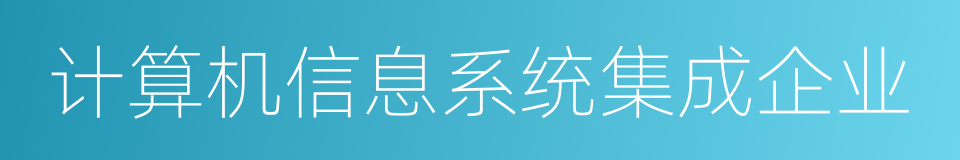 计算机信息系统集成企业的同义词