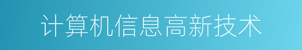 计算机信息高新技术的同义词