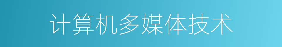 计算机多媒体技术的同义词