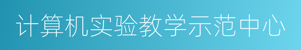 计算机实验教学示范中心的同义词