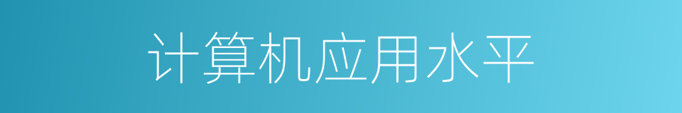 计算机应用水平的同义词