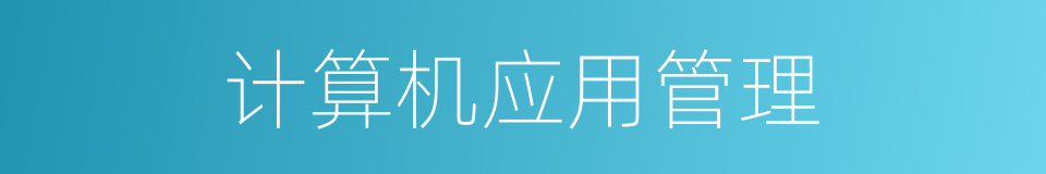 计算机应用管理的同义词