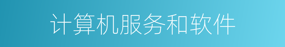 计算机服务和软件的同义词