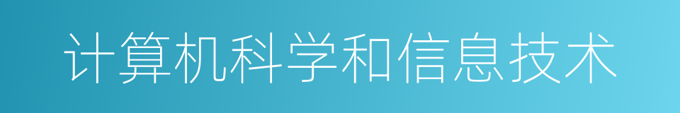 计算机科学和信息技术的同义词