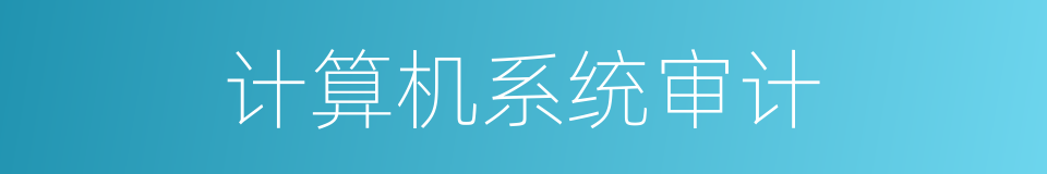 计算机系统审计的同义词