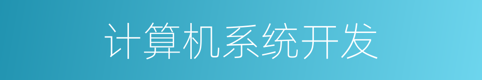 计算机系统开发的同义词