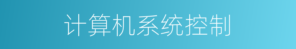 计算机系统控制的同义词