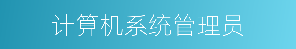 计算机系统管理员的同义词