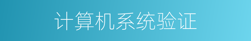 计算机系统验证的同义词