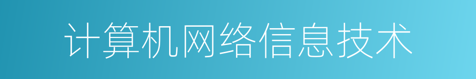 计算机网络信息技术的同义词