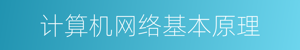 计算机网络基本原理的同义词