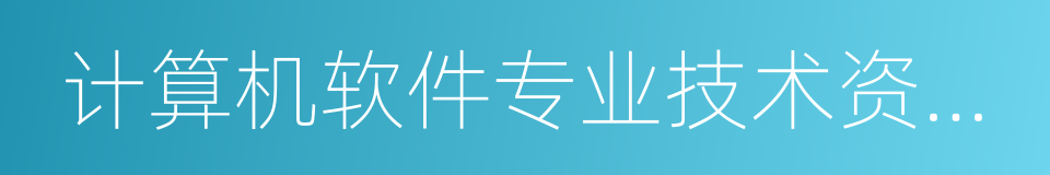 计算机软件专业技术资格和水平考试的同义词