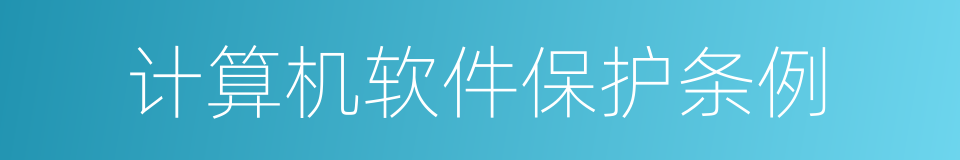 计算机软件保护条例的同义词
