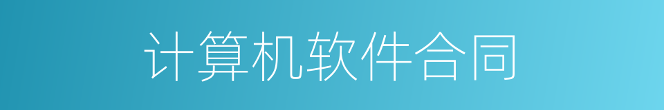 计算机软件合同的同义词
