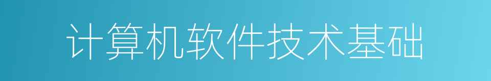 计算机软件技术基础的同义词