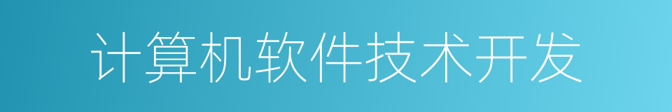 计算机软件技术开发的同义词
