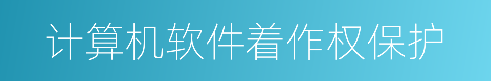 计算机软件着作权保护的同义词