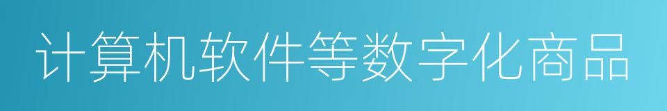 计算机软件等数字化商品的同义词