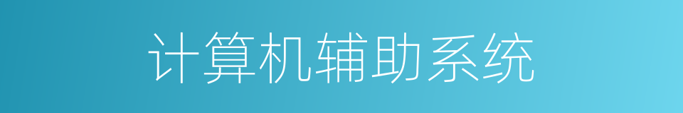 计算机辅助系统的同义词