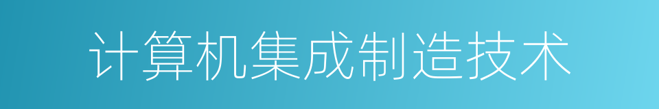 计算机集成制造技术的同义词