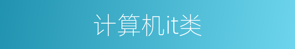 计算机it类的同义词