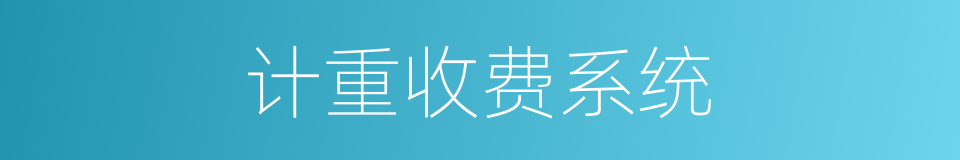 计重收费系统的同义词