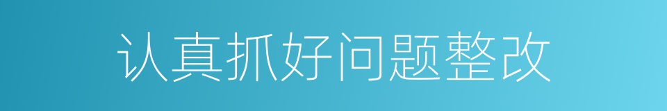 认真抓好问题整改的同义词