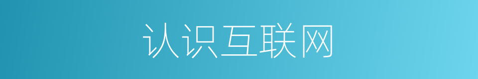 认识互联网的同义词