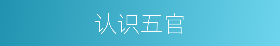 认识五官的同义词