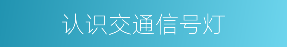 认识交通信号灯的同义词