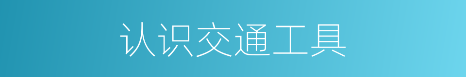 认识交通工具的同义词