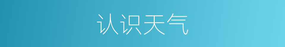 认识天气的同义词